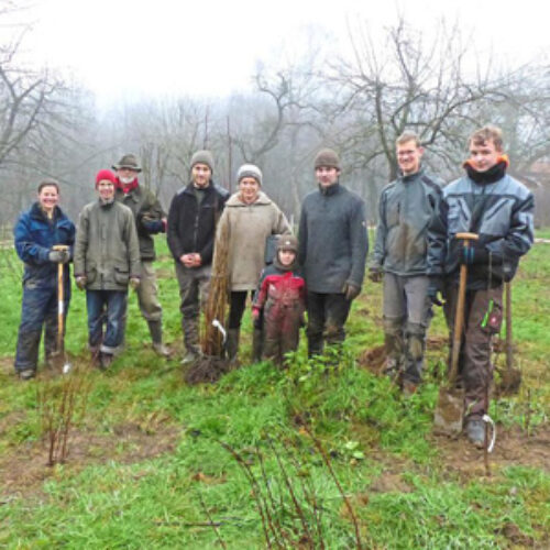 1500 Bäume und Sträucher auf dem Frecklingshof angepflanzt
