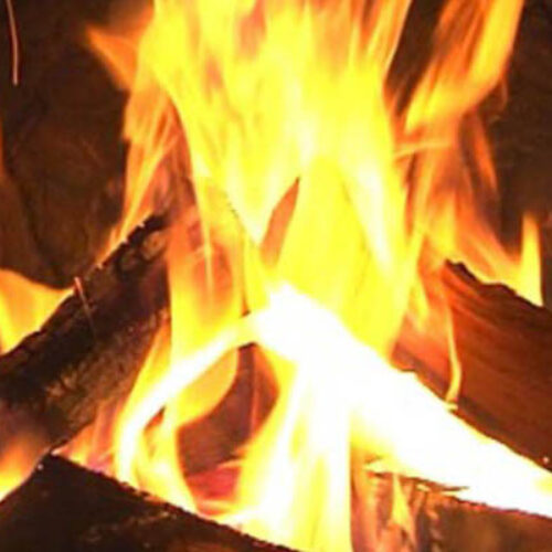 Kaminholz Früchte